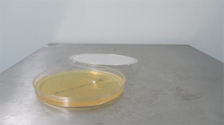 圖片28.png 上海環境檢測咨詢服務有限公司