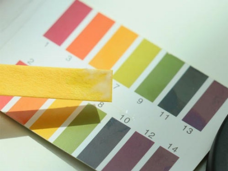 上海環(huán)境檢測咨詢服務有限公司